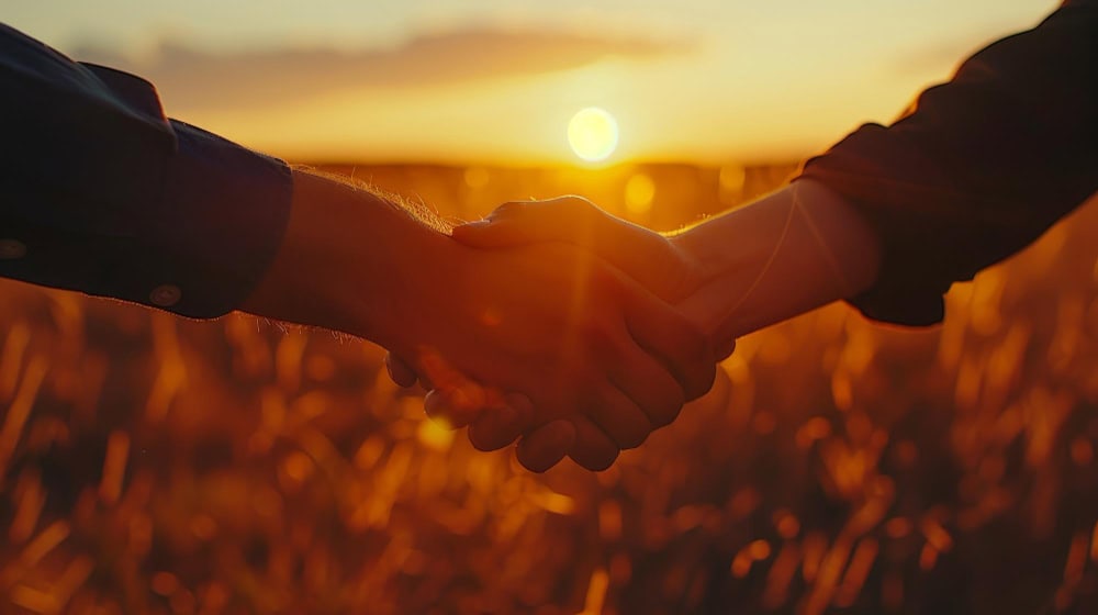 Primer plano de un apretón de manos al atardecer, simbolizando la transparencia, la confianza y el buen gobierno corporativo que rige en Coexpan.