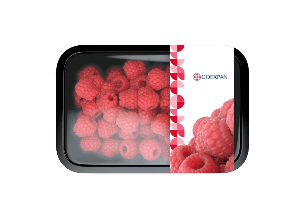 Bandeja de color negro fabricada en packaging rígido conteniendo frambuesas frescas, ideal para la conservación de frutas.