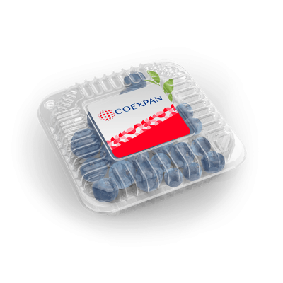 envases clamshell arándanos